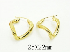 Stainless Steel Jewelry Wholesale - Stainless Steel Earrings - HY64E0530MW
