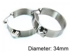Stainless Steel Jewelry Wholesale - Stainless Steel Earrings - HY64E0018HIZ