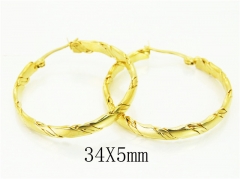Stainless Steel Jewelry Wholesale - Stainless Steel Earrings - HY70E1180LA