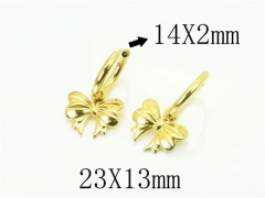 Stainless Steel Jewelry Wholesale - Stainless Steel Earrings - HY06E0424NE
