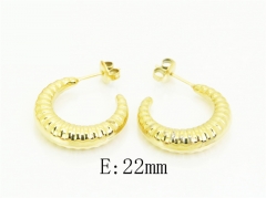 Stainless Steel Jewelry Wholesale - Stainless Steel Earrings - HY41E0018HHC