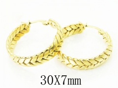 Stainless Steel Jewelry Wholesale - Stainless Steel Earrings - HY58E1658NL