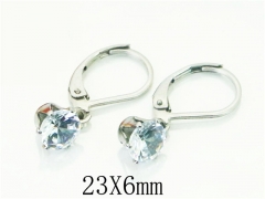 Stainless Steel Jewelry Wholesale - Stainless Steel Earrings - HY21E0148IJ