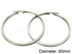 Stainless Steel Jewelry Wholesale - Stainless Steel Earrings - HY58E0471IZ