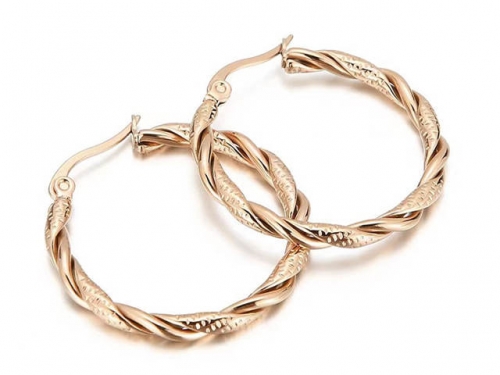 Stainless Steel Jewelry Wholesale - Stainless Steel Earrings - HY0151E0757