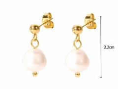 Stainless Steel Jewelry Wholesale - Stainless Steel Earrings - HY0158E0434