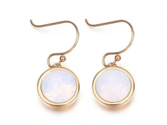 Stainless Steel Jewelry Wholesale - Stainless Steel Earrings - HY0151E1233