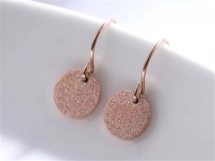 Stainless Steel Jewelry Wholesale - Stainless Steel Earrings - HY0123E0113