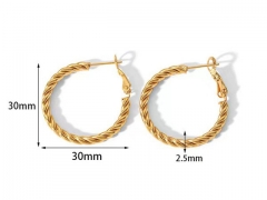 Stainless Steel Jewelry Wholesale - Stainless Steel Earrings - HY0158E0105