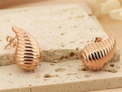 Stainless Steel Jewelry Wholesale - Stainless Steel Earrings - HY0151E0026