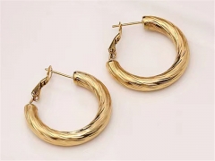 Stainless Steel Jewelry Wholesale - Stainless Steel Earrings - HY0123E0150
