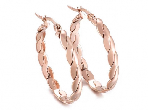 Stainless Steel Jewelry Wholesale - Stainless Steel Earrings - HY0151E0621