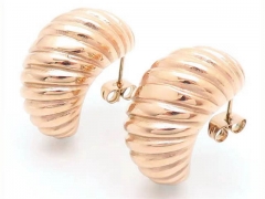 Stainless Steel Jewelry Wholesale - Stainless Steel Earrings - HY0151E0057