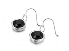 Stainless Steel Jewelry Wholesale - Stainless Steel Earrings - HY0151E1251