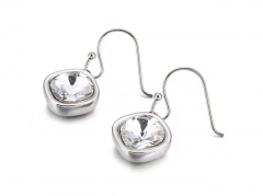 Stainless Steel Jewelry Wholesale - Stainless Steel Earrings - HY0151E1256