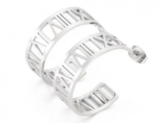 Stainless Steel Jewelry Wholesale - Stainless Steel Earrings - HY0151E0761
