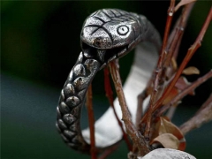 Stainless Steel Jewelry Wholesale - Stainless Steel Rings - HY0012R1110
