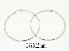 Stainless Steel Jewelry Wholesale - Stainless Steel Earrings - HY70E1563CHL