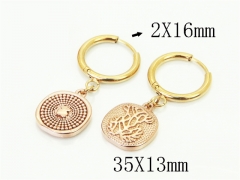 Stainless Steel Jewelry Wholesale - Stainless Steel Earrings - HY64E0546HIG