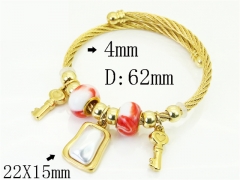 Stainless Steel Jewelry Wholesale - Stainless Steel Bangles - HY38B0981HKF