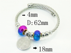 Stainless Steel Jewelry Wholesale - Stainless Steel Bangles - HY38B0965OG