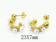 Stainless Steel Jewelry Wholesale - Stainless Steel Earrings - HY48E0150AML