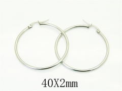 Stainless Steel Jewelry Wholesale - Stainless Steel Earrings - HY70E1557AHL