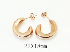 Stainless Steel Jewelry Wholesale - Stainless Steel Earrings - HY30E2411DOL