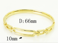 Stainless Steel Jewelry Wholesale - Stainless Steel Bangles - HY04B0088HKQ