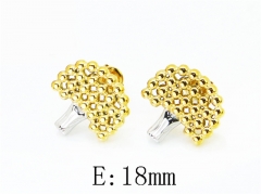 Stainless Steel Jewelry Wholesale - Stainless Steel Earrings - HY30E2751HZZ
