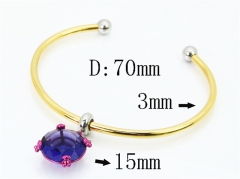 Stainless Steel Jewelry Wholesale - Stainless Steel Bangles - HY90B0736HPA