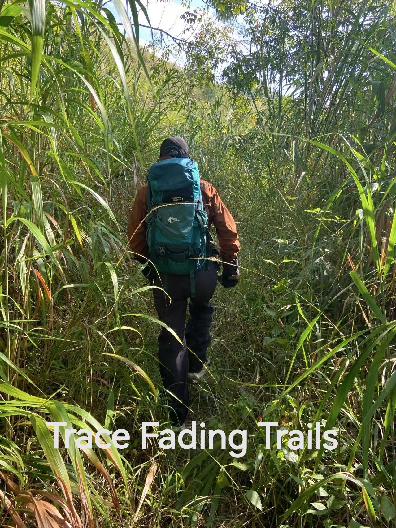 Trace Fading Trails