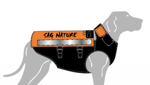 DOG COAT SAG NATURE