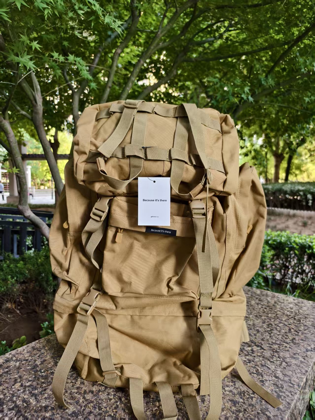 Backpacks Because it's there