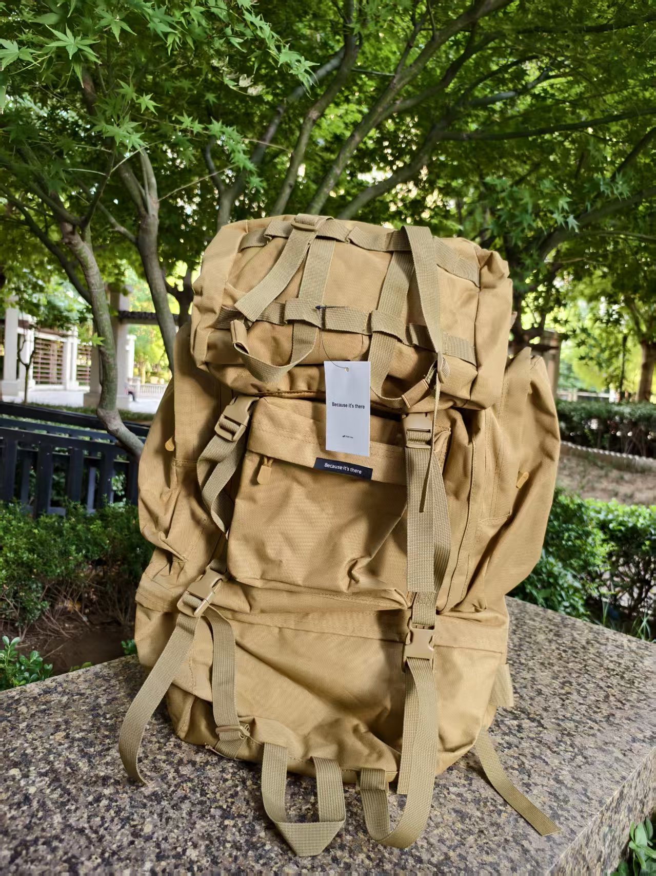 Backpacks Because it's there