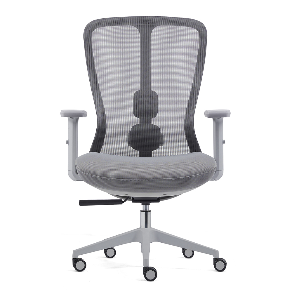Z-E2406 Ergonomic Office Chair
