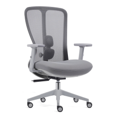Z-E2406 Ergonomic Office Chair