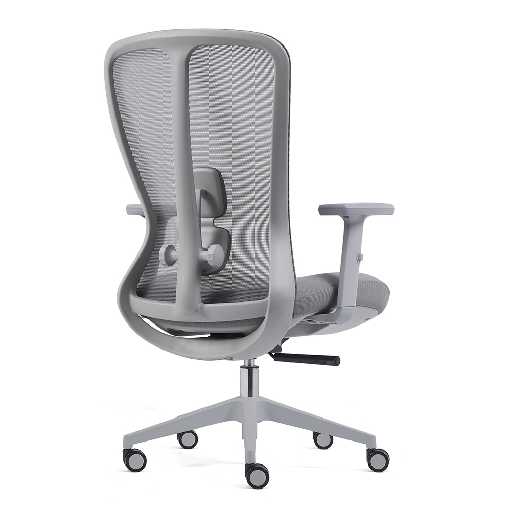 Z-E2406 Ergonomic Office Chair