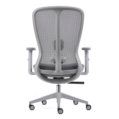 Z-E2406 Ergonomic Office Chair
