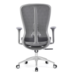 Z-E2406G Ergonomic Office Chair