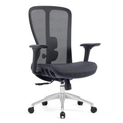 Z-E2406G Ergonomic Office Chair