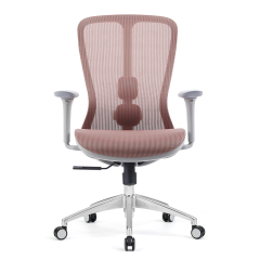 Z-E2406G Ergonomic Office Chair