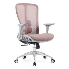 Z-E2406G Ergonomic Office Chair