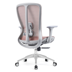 Z-E2406G Ergonomic Office Chair