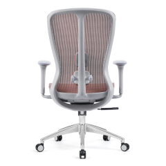 Z-E2406G Ergonomic Office Chair