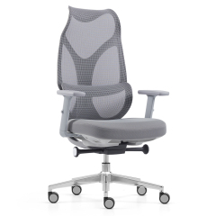 Modern Mesh Chair – Order Office Furniture Ergonomic