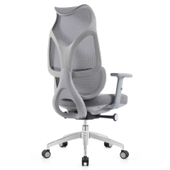 Modern Mesh Chair – Order Office Furniture Ergonomic