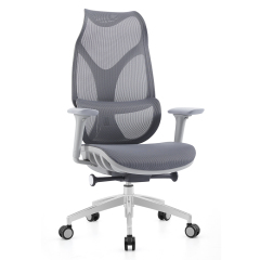 Modern Mesh Chair – Order Office Furniture Ergonomic