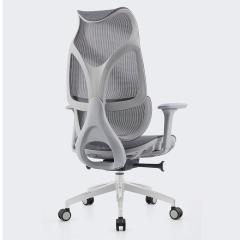 Modern Mesh Chair – Order Office Furniture Ergonomic