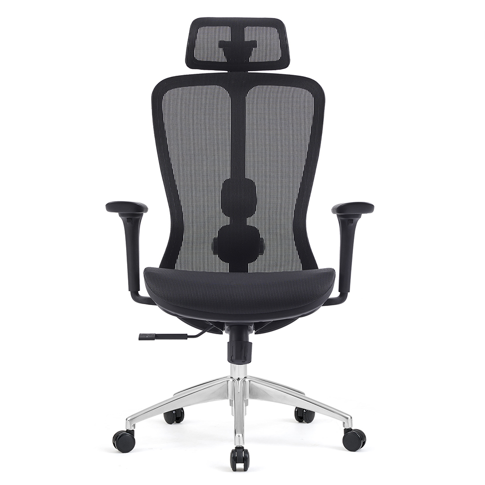 Z-E2406HG Ergonomic Office Chair